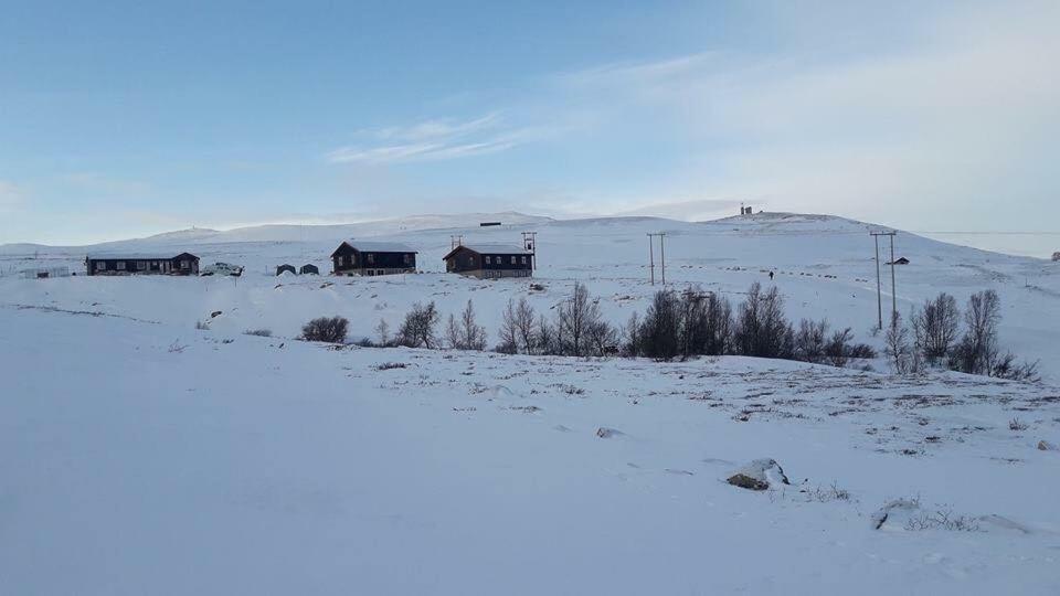 Moskusstuggu Hotell Hjerkinn Exteriör bild
