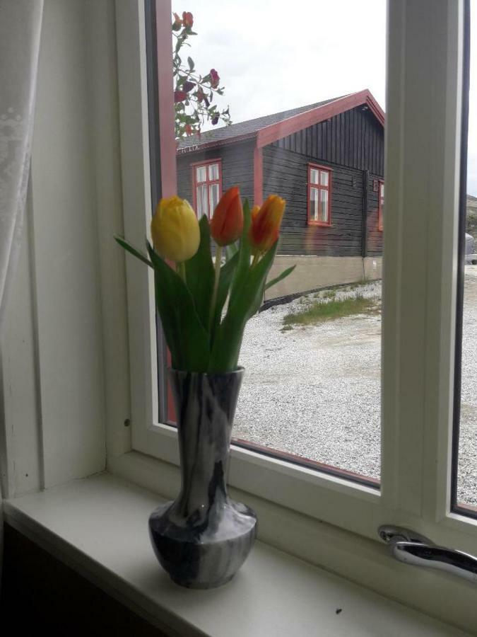 Moskusstuggu Hotell Hjerkinn Exteriör bild